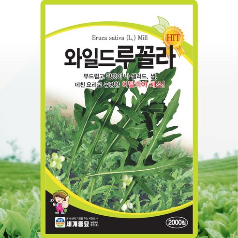 세계종묘 와일드루꼴라 씨앗 2000립 와일드 루꼴라씨 이탈리아 채소 종자, 1개