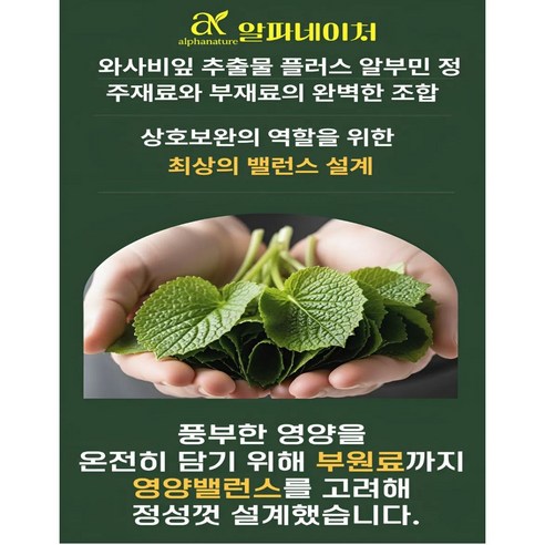 알파네이처 와사비잎 추출물 플러스 알부민 100% 정품 HACCP 식약청... 맛있게 먹은 솔직 후기 - 상품 이미지 4