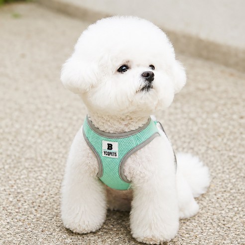강아지 하네스 소형견 조끼형 가슴줄 편안한 착용감 산책용, 1개, 하늘색