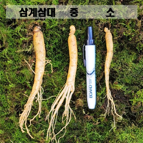 금산인삼 수삼 삼계삼소 무료세척 백숙용 삼계용 업소용 700g 70~10... 실사용 후기 | 효과 있을까? - 상품 이미지 2