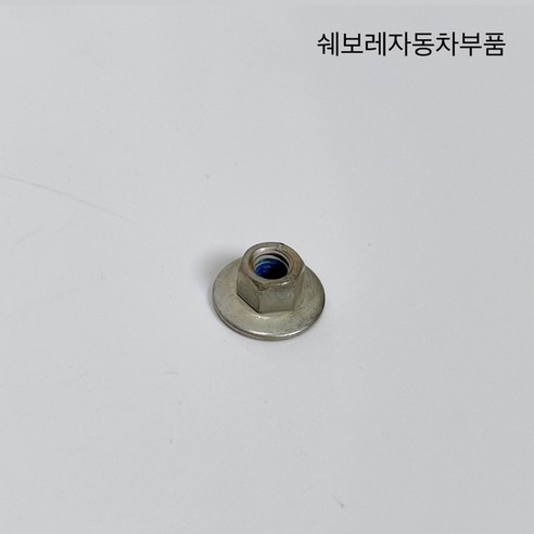 올뉴말리부 더뉴말리부 올뉴크루즈 보조제동등 고정너트 11602012 - 실내등/미등/브레이크등 | 쿠팡