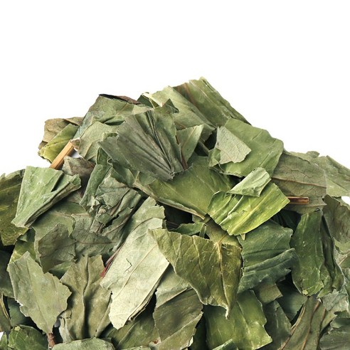동의한재 국산 햇 삼백초 300g, 1개 이미지 3