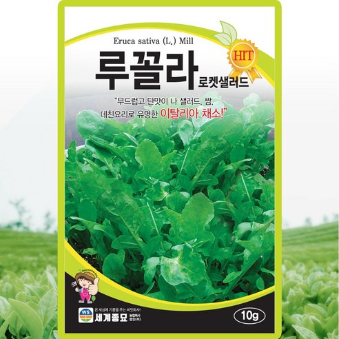 세계종묘 루꼴라 씨앗 10g 로켓샐러드 루꼴라씨 이탈리아 채소 종자, 1개