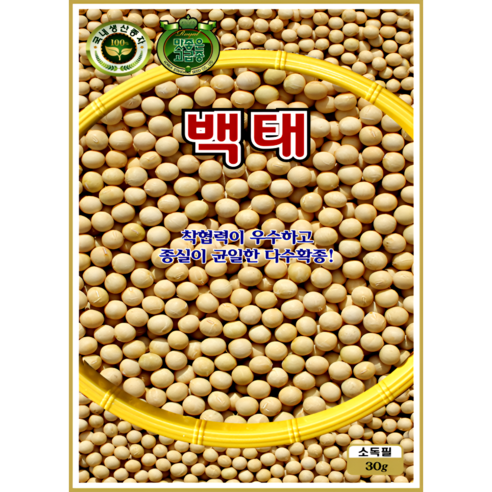 KS종묘 백태 메주콩 씨앗 30g 일반종 장류용 콩 종자 ks, 1개
