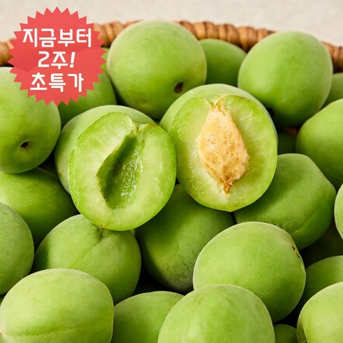  매실수확시기 진짜 궁금한 점, 망종 이후가 정답일까?