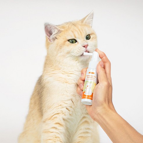 솔루션 포포우 덴탈케어 고양이 구강영양제, 1개, 30ml