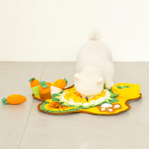 레토 강아지 노즈워크 장난감 플라워 당근밭 담요 매트 후기 분석 - 세탁 및 관리 안내