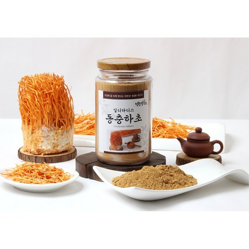 명문정약초 밀리타리스 동충하초분말 국산 300g, 1개 이미지 2