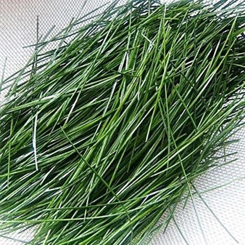 야생약초나라 금강송(적송) 솔잎(생) 200g - 높은산 무공해 솔잎 맛있게 먹은 솔직 후기 썸네일