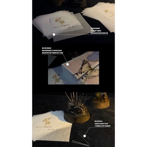標本展翅板蝴蝶標本展翅輔助工具間隙可調特殊材質, 1個- 優惠推薦