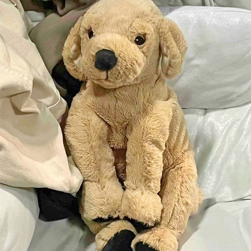 강아지 애착 인형 보들보들 아기 리트리버 봉제 장난감 선물 말랑 모찌 토... 솔직 후기 | 실사용자 리뷰 분석 - 상품 이미지 2