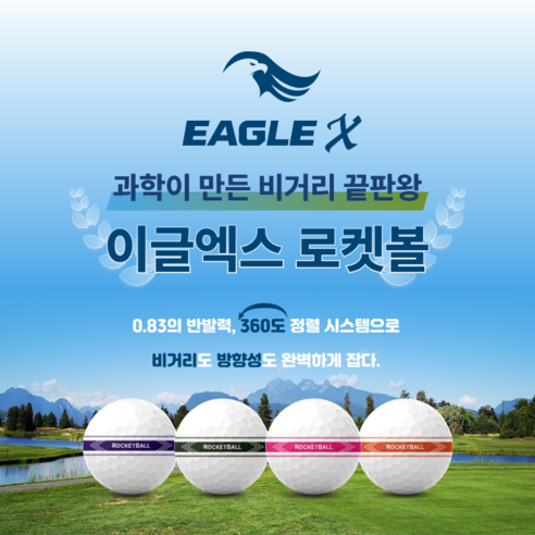 이글엑스 로켓볼 비거리 골프공 장타공 필드 스크린 겸용 4색 초고반발 360 퍼팅라인 이미지 4