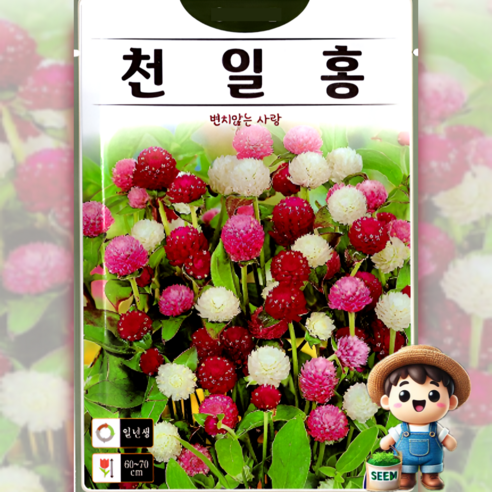 KS종묘 천일홍 100립 일반종 혼합 초화 꽃씨 씨앗 종자, 1개