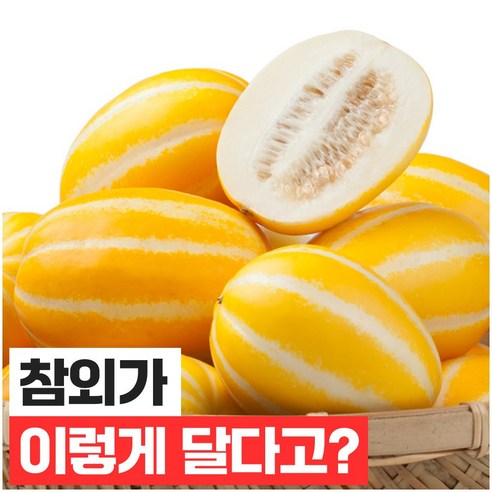 푸드지 달콤한 성주 꿀 참외 가정용, 로얄과 5kg, 1개