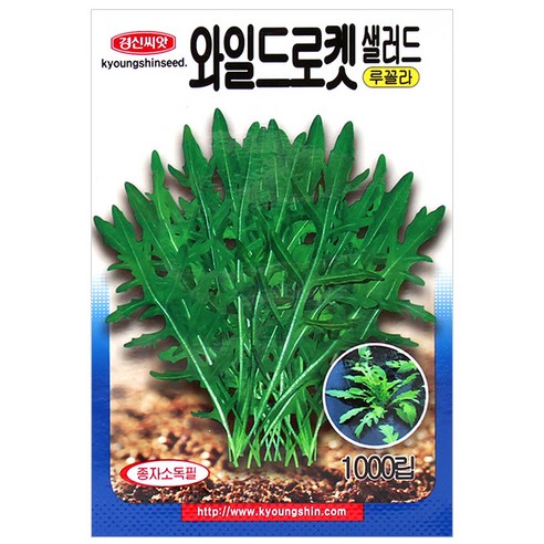 세인화분 와일드로켓 샐러드 1000립 - 이태리 루꼴라 씨 씨앗, 1개