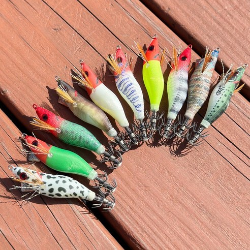 아시카 스테이 미니 신수평 에기로 낚시 초보도 프로처럼 쭈꾸미를!