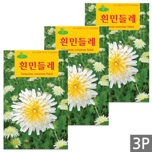 세인화분 흰색 민들레 100립 - 꽃씨 꽃씨앗 씨 씨앗, 3개