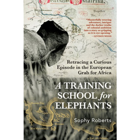(영문도서)A Training School for Elephants Paperback, Grove Press, English, 9780802167538