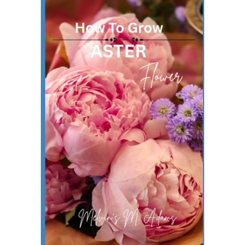 (영문도서)How to grow Aster flowers for beginners: The Ultimate Beginner's Guide to Growin... Paperback, Independently Published, English, 9798195174514