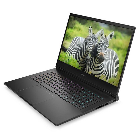 HP 2023 오멘 16 코어i9 인텔 13세대 지포스 RTX 4060, Shadow Black, 4TB, 64GB, WIN11 Home, 16-wf0092TX
