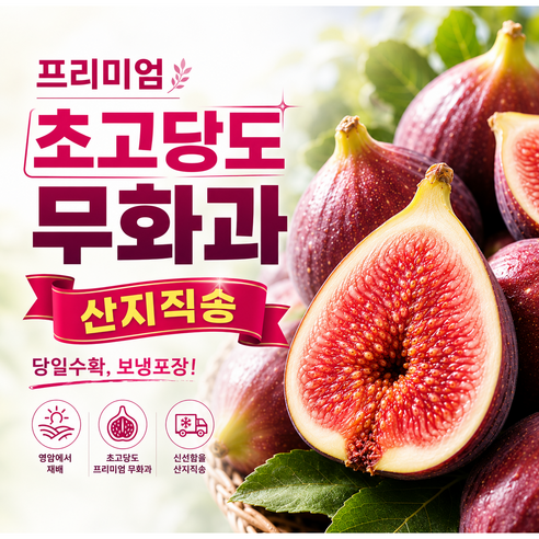 당일수확 산지직송 고당도 무화과 보냉포장, 500g, 1개 - 무화과