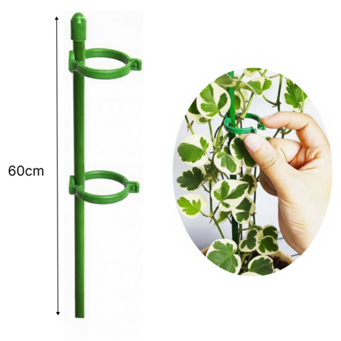 두두타운 높이조절 2단고정 식물지지대 60cm, 10개