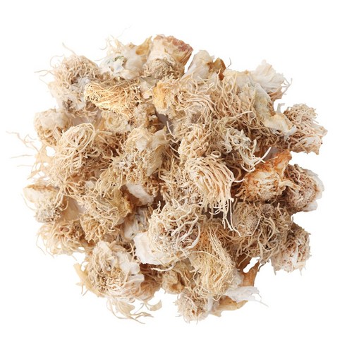 동의한재 국산 파뿌리 대파뿌리 총백 500g, 1개 이미지 3