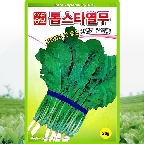 아시아종묘 톱스타 열무 씨앗 20g, 1개