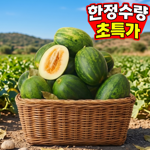 [딱100박스만한정특가] 극brix 초고당도 산지직송 파파야멜론, 2kg, 1박스