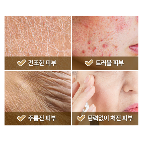 벤스랩 베니아3 바이오액티브 여성 기초 5종 세트(에센스 아이크림 포함) 이미지 2