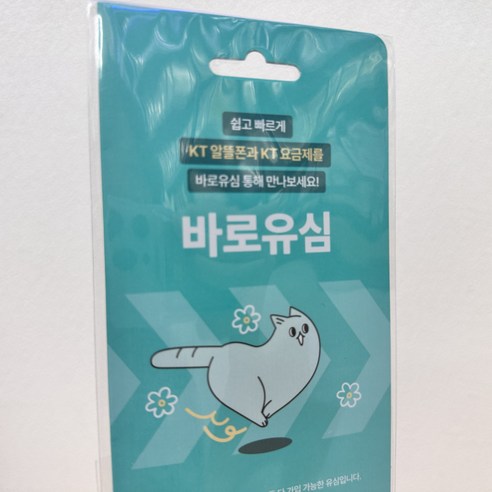 KT 바로 유심