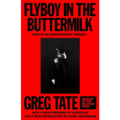 (영문도서)Flyboy in the Buttermilk: Essays on Contemporary America Paperback, Auwa, English, 9780374394622