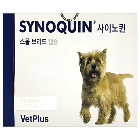 벳플러스 사이노퀸 스몰브리드 강아지 독 소형견 관절 연골 영양제 캡슐형