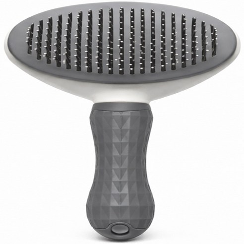 이보다 원터치 애견브러쉬 안아픈 강아지빗 말티푸 비숑 강아지 고양이 겸용 솔직 후기 | 실제 사용자 리뷰 총정리 썸네일