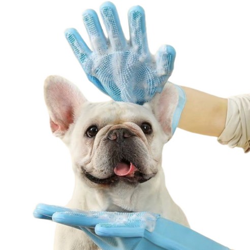 모디크 반려동물 목욕장갑 솔직 후기 | 실제 사용자 리뷰 총정리 - 상품 이미지 1