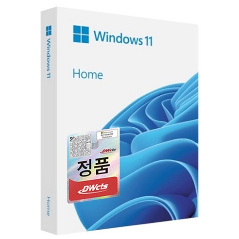 마이크로소프트 윈도우11 홈 처음사용자용 FPP + USB 8G 사은품, Windows11Home+8GB(사은품)