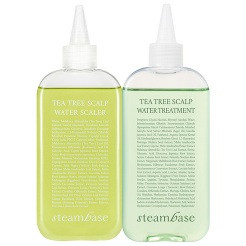 [공식] 스팀베이스 쿨링 두피 유분개선 티트리 스칼프 워터 스케일러 250ml+트리트먼트 250ml 세트