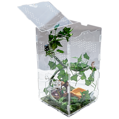 크레용샵 도마뱀 크레스티드 게코 사육장 한방 세트