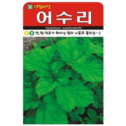 어수리 씨앗 씨 종자, 2개