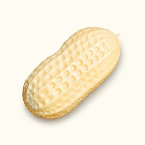 토이보스 땅콩 크런치 슬랑이, 1개, 160g, 옐로우