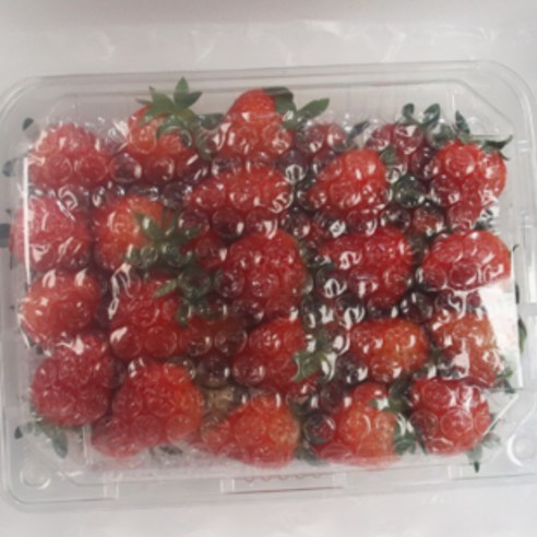 여름날의 달콤한 로망, 생딸기 설향딸기 맛가득 프리미엄 설향딸기 1kg (소과)
