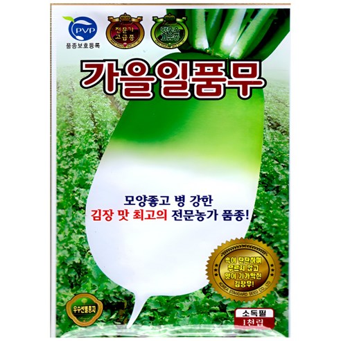 KS종묘 가을일품무 김장용 무 씨앗 전문가 추천 다수확 병강성 강한 1000립 소포장 KS, 1개