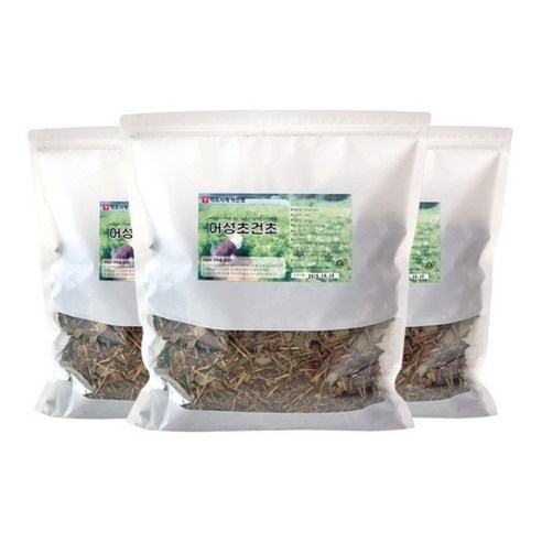 약초약선생 어성초건초 600g (200g 3봉지) 맛있게 먹은 솔직 후기 썸네일