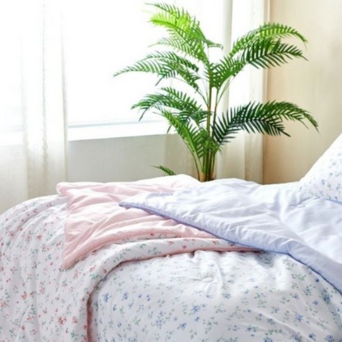 올여름 밤 잠 못 이루는 더위 끝내기 아리아이불