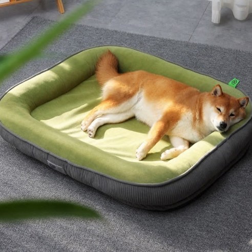 골드릭 강아지 고양이 반려견 푹신한 마약 방석 쿠션, 그린, 1개