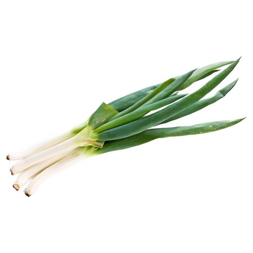 국내산 산지직송 흙대파 대파 업소용 대용량, 5kg, 1개