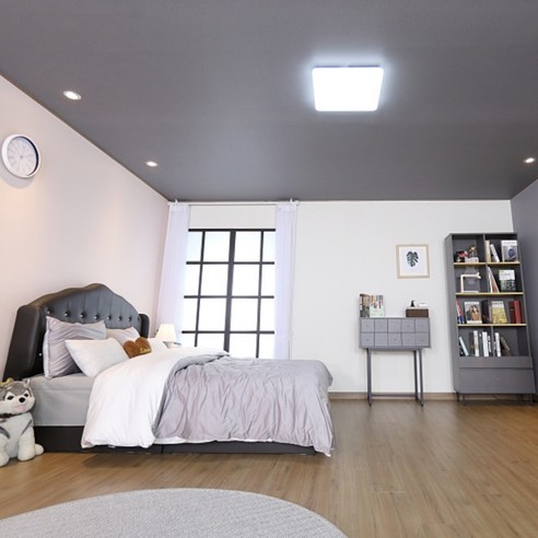 LED 방등 50W 주광색 주백색 KS 역률0.9, 주백색 (아이보리빛)
