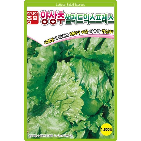 샐러드익스프레스 양상추 씨앗 1500립 양상추씨 쌈채소 종자, 1개