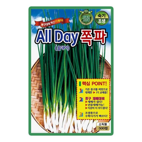 올데이 쪽파씨앗 500립 종구 대체 연중재배 가능 숙기 빠른 조생종 F1 고급 쪽파씨 종자, 1개