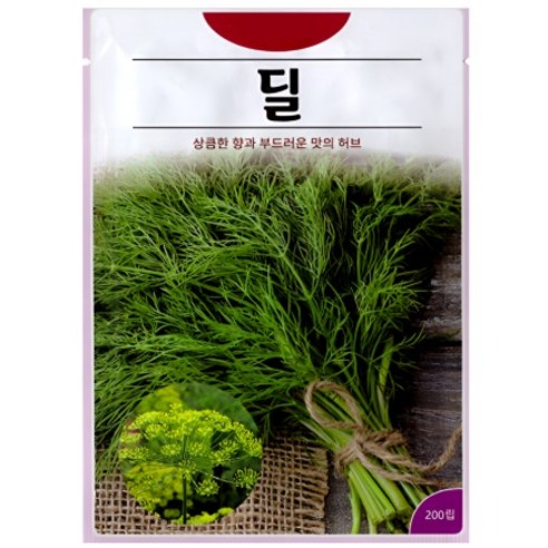 KS종묘 딜 Dill 허브 씨앗 200립 ks, 1개